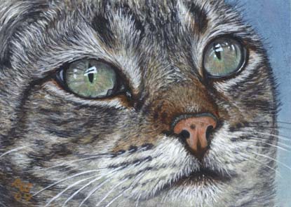 Temmy #3 (Gray Tabby cat painting)