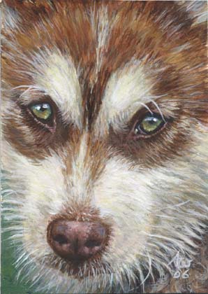 Miniature (ACEO) - Dogs