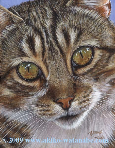 Eyes of Billy (Gray Tabby Cat Print)