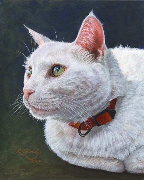 Shiro (White Cat Print)