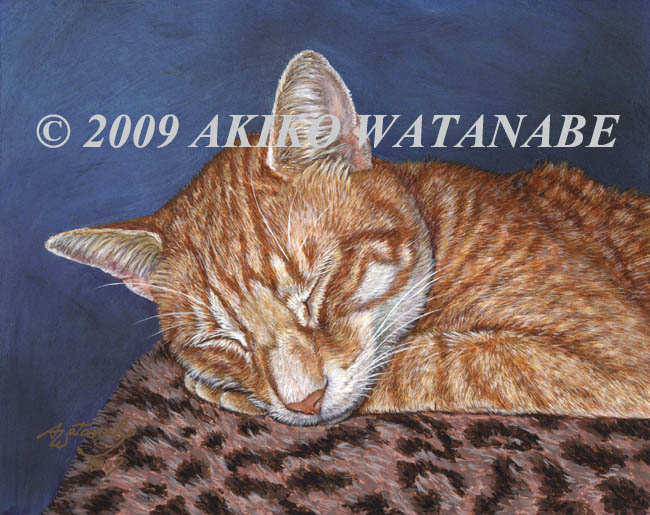 Sleeping Hunter (Orange Tabby Ginger cat)