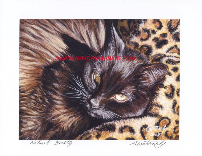 Natural Beauty (Open Edition Black Cat Print)