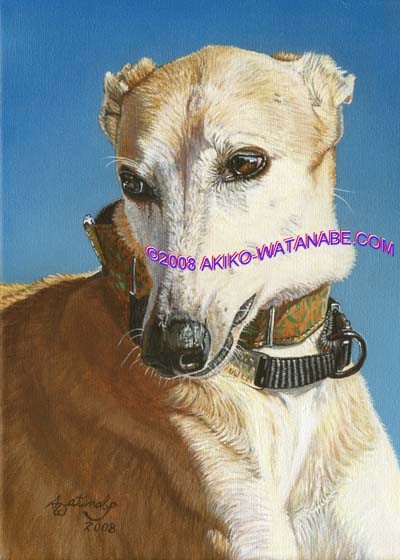 Quiet Moments (Print of greyhound dog)